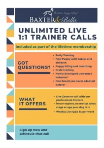 Baxter and Bella Online Training