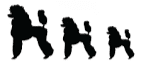 Miniature Poodle FAQ