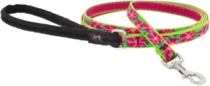 Puppy Supply List Lupine Leash