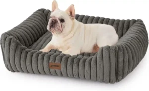 Puppy Supply List Dog Bed
