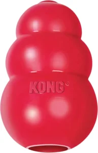Puppy Supply List Kong Toy